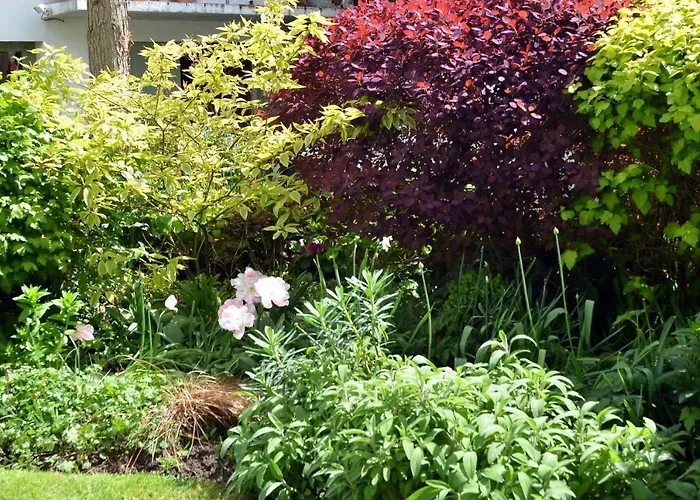 Bed & Breakfast D'hotes El Vigot Plaza 2*