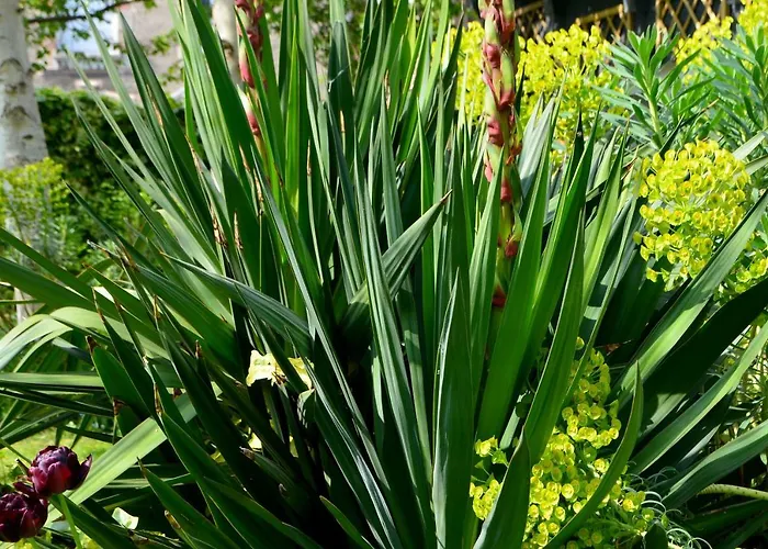 D'hotes El Vigot Plaza 2*