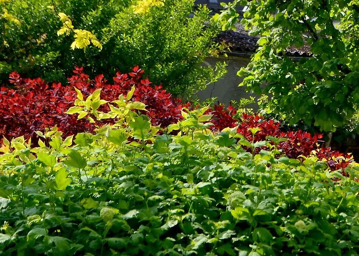 Bed & Breakfast D'hotes El Vigot Plaza 2*