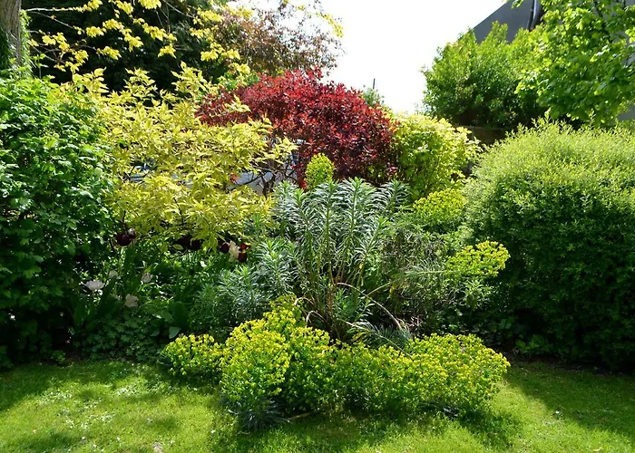 D'hotes El Vigot Plaza